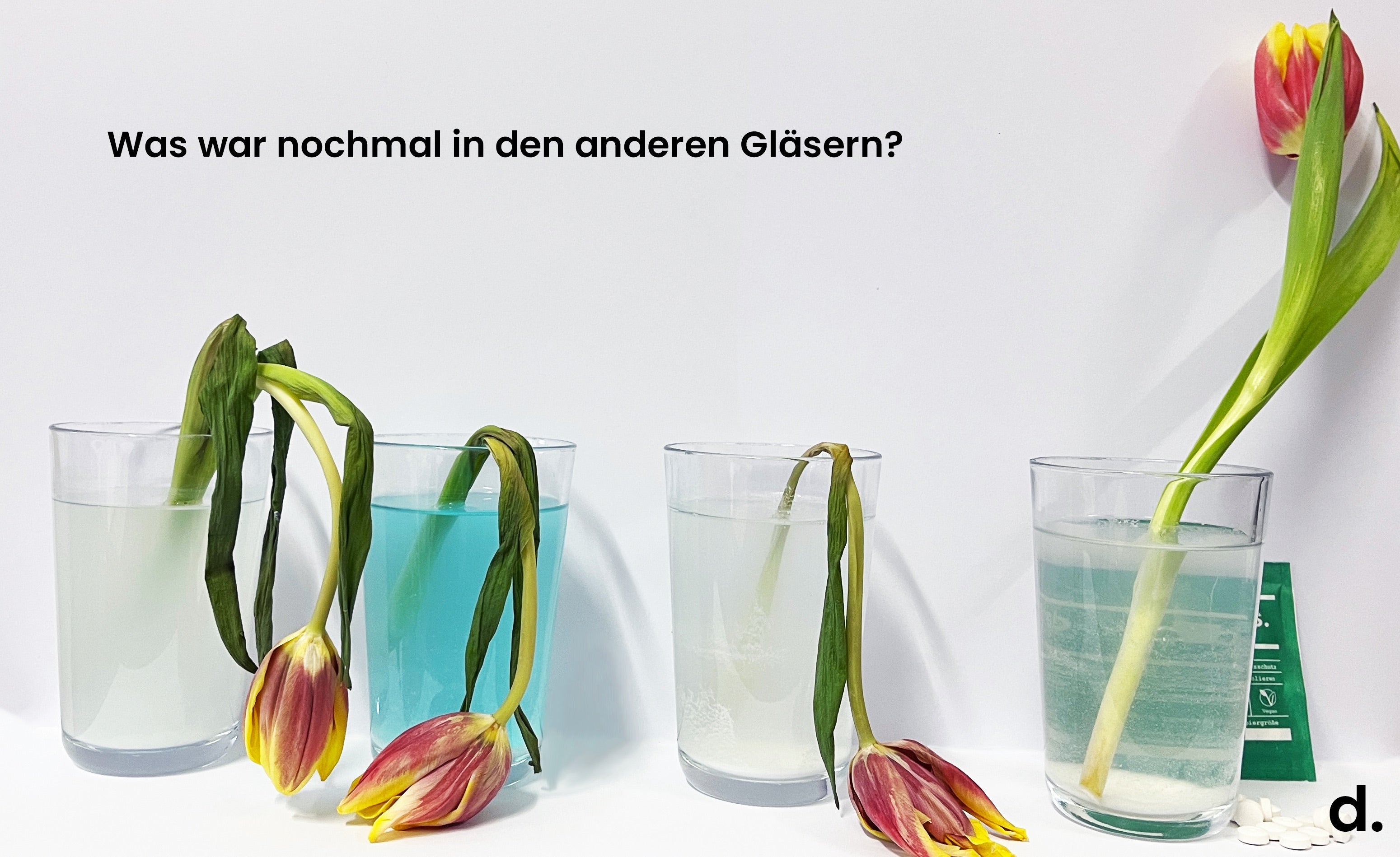 Vier Gläser mit gefärbtem Wasser enthalten verwelkende Tulpen, aber das letzte Glas auf der rechten Seite enthält eine aufrecht stehende Tulpe. Auf Deutsch steht oben: "Was war nochmal in den anderen Gläsern?" Vielleicht waren Denttabs Zahnputztabletten die Zahnpasta-Alternative?.