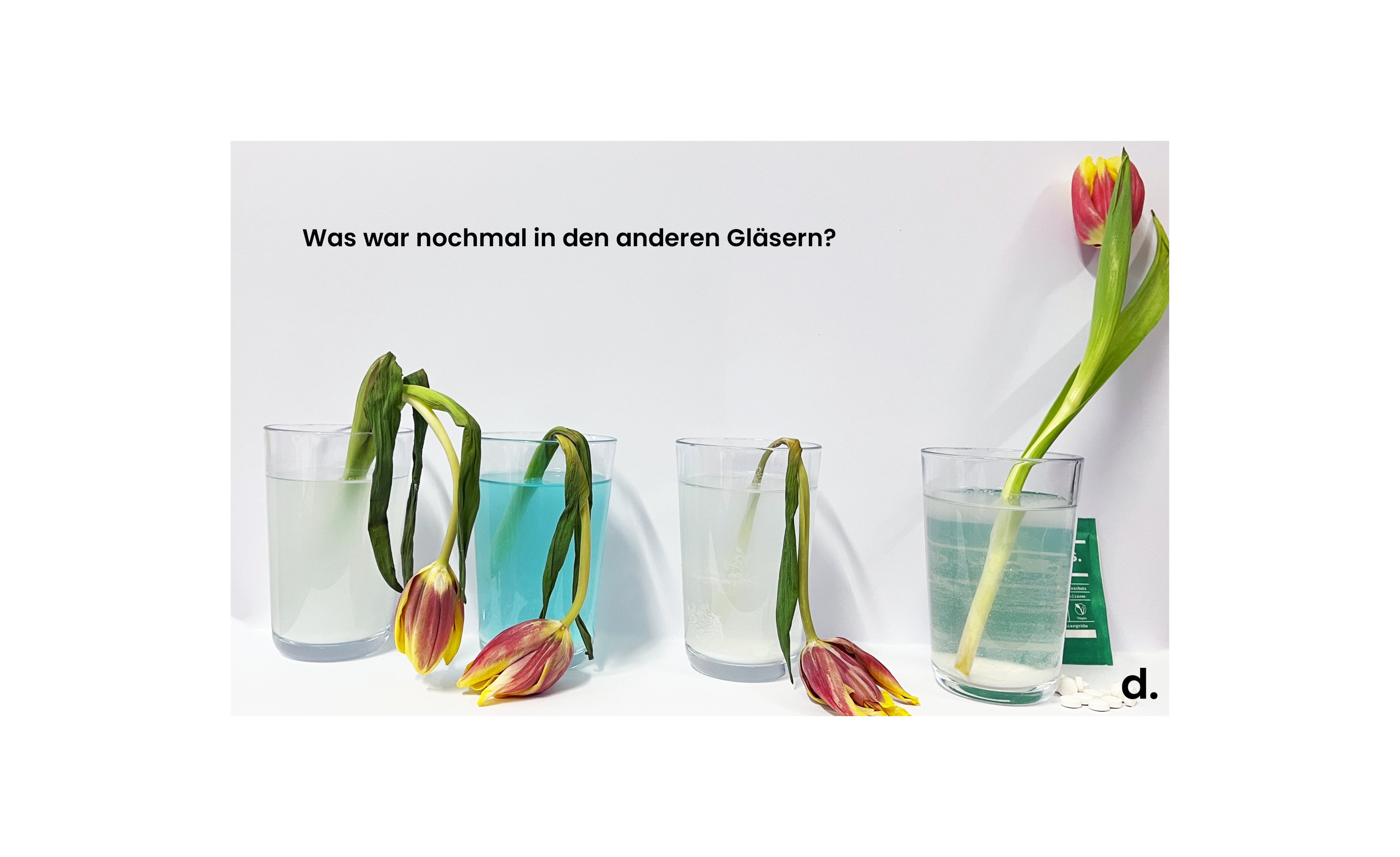 Der überraschende Tulpen-Test