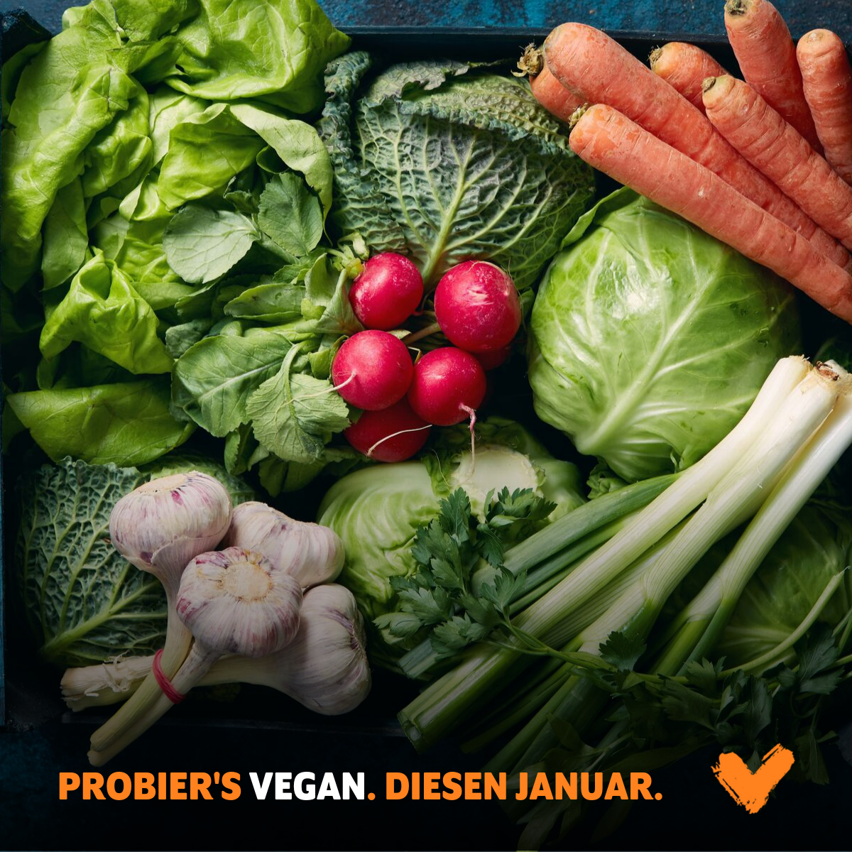 Veganuary 2022 – das können wir mit der Challenge erreichen