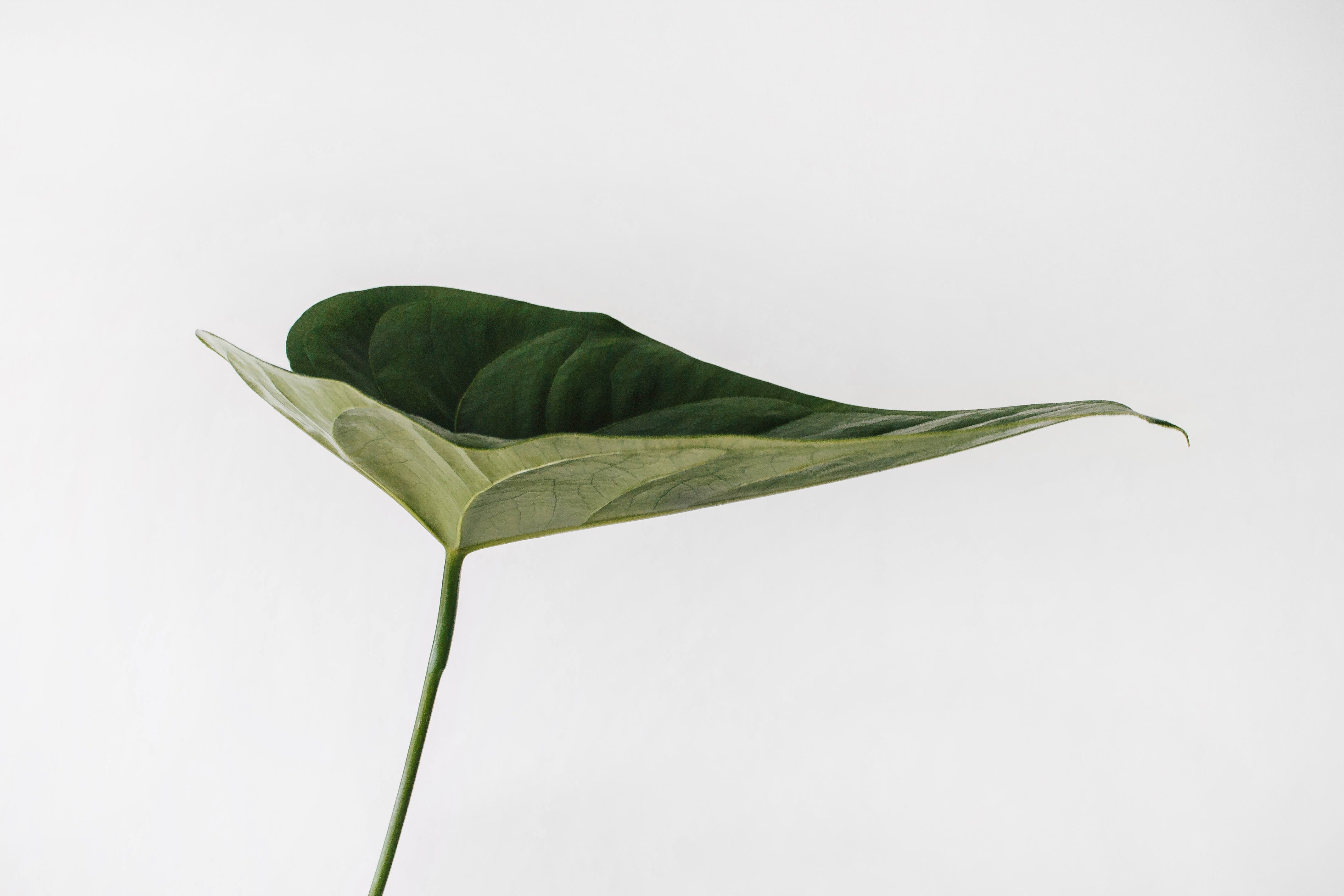Sustainability Managerin Nele über Möglichkeiten und Potenziale